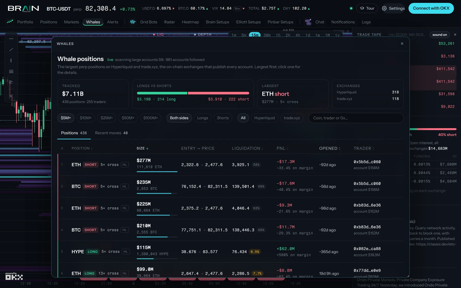 The Whales window: the largest open positions on Hyperliquid and trade.xyz with size, entry, liquidation, PnL and opening time